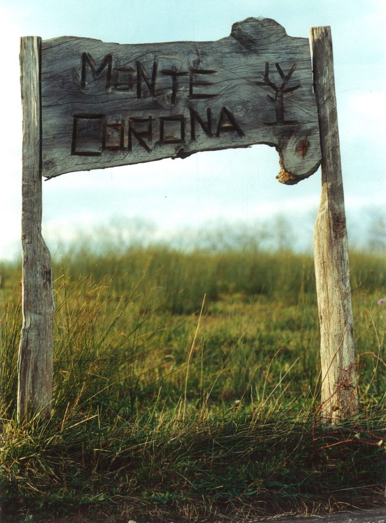 Album Monete Grande Formato - 48 Tasche Per Crown, 5£, 5 - Foto 4